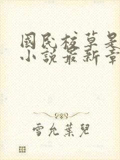 国民校草是女生小说最新章节阅读