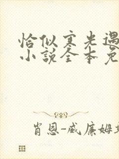 恰似寒光遇骄阳小说全本免费阅读