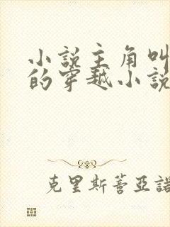 小说主角叫金峰的穿越小说