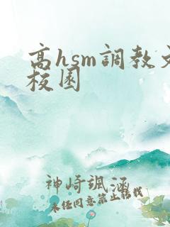 高hsm调教文校园