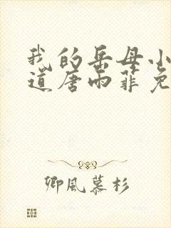 我的岳母小说林道唐雨菲免费阅读