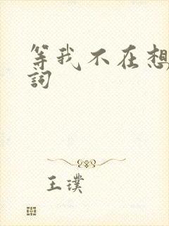 等我不在想你歌词