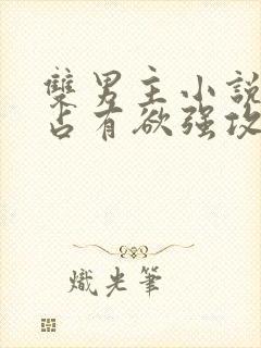 双男主小说病娇占有欲强攻文