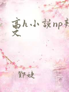 高h小说np辣文