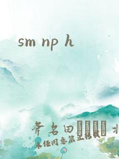 sm np h