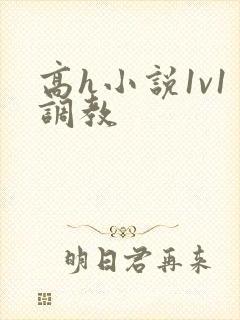 高h小说1v1调教