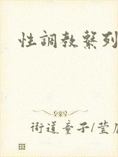 性调教系列小说