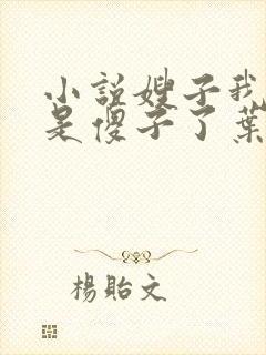 小说嫂子我真不是傻子了叶凡免费全文阅读