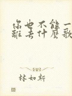 你也不能一个人离去什么歌的歌词