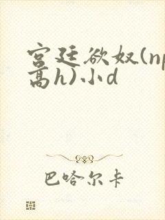 宫廷欲奴(np高h)小d