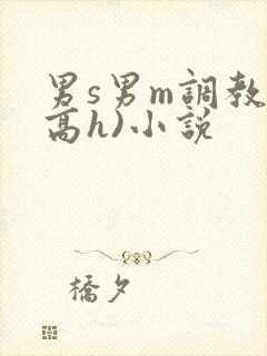 男s男m调教(高h)小说
