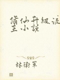 修仙升级流双男主小说