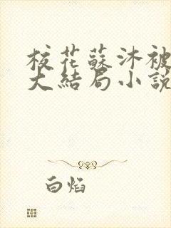 校花苏沐被卖菜大结局小说