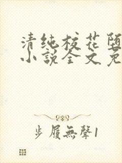 清纯校花堕落记小说全文免费阅读