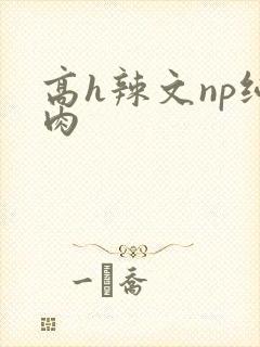 高h辣文np纯肉