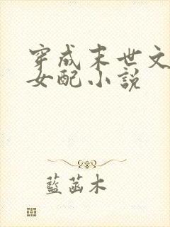 穿成末世文里的女配小说