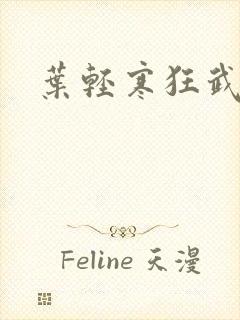 叶轻寒狂武战帝