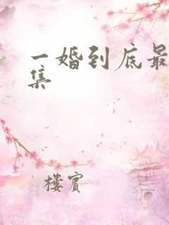 一婚到底最后一集