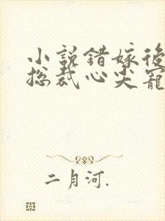 小说错嫁后成了总裁心尖宠