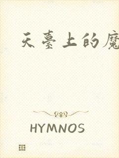 天台上的魔术师