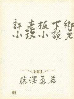 许老板下乡买处小玫小说免费阅读