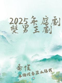 2025年腐剧双男主剧