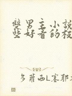 双男主小说有哪些好看的校园文