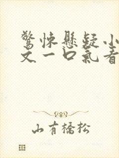 惊悚悬疑小说推文一口气看完