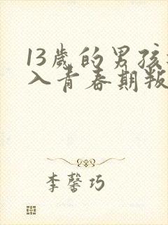 13岁的男孩进入青春期叛逆怎样管