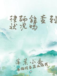 律师能查到婚姻状况吗