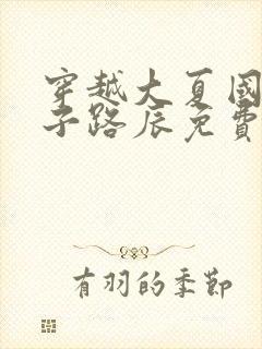 穿越大夏国九皇子路辰免费