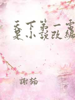 天下第一电视剧是小说改编的吗