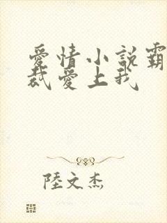 爱情小说霸道总裁爱上我