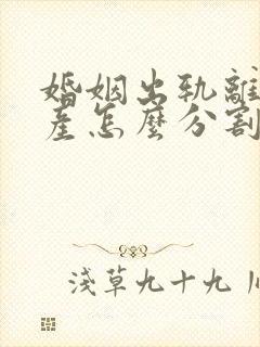 婚姻出轨离婚财产怎么分割