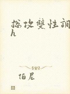 总攻双性调教高h