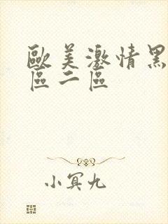 欧美激情黑人一区二区