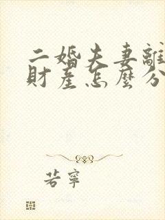 二婚夫妻离婚的财产怎么分配