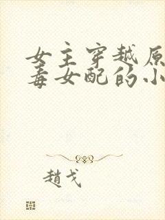 女主穿越原耽恶毒女配的小说