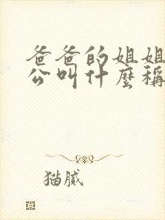 爸爸的姐姐的老公叫什么称呼