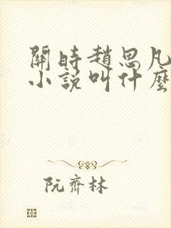 关时赵思凡原著小说叫什么名字