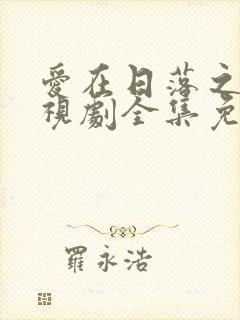 爱在日落之前电视剧全集免费观看