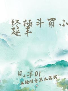 终极斗罗小说王延丰