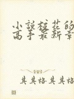 小说校花的贴身高手最新章节列