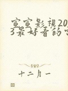 宣宣影视2023最好看的电视剧