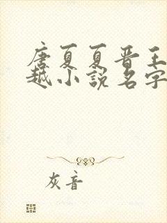 唐夏夏晋王的穿越小说名字