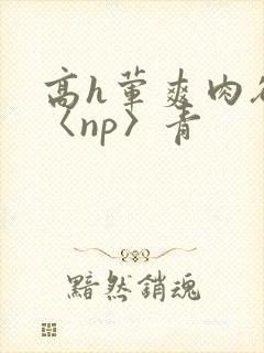 高h荤爽肉欲文〈np〉青