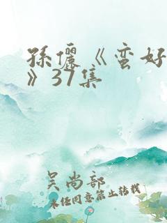 孙俪《蛮好人生》37集