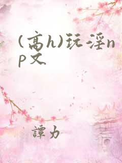 (高h)玩淫np文