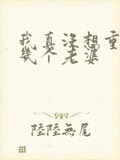 我真没想重生啊几个老婆