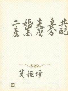 二婚夫妻共同财产怎么分配